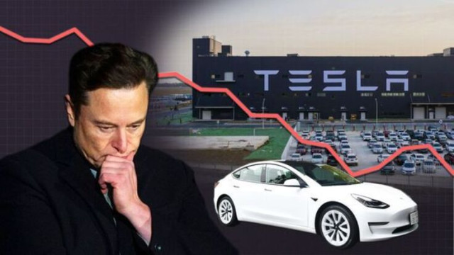 Tesla Electric Vehicle CEO, Elon Musk